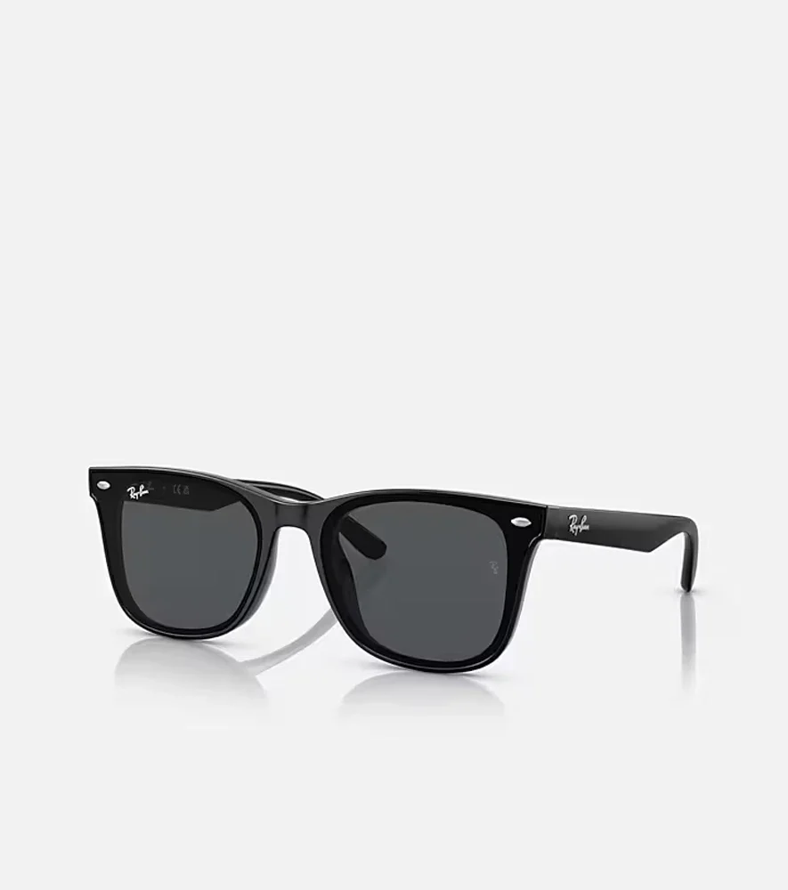 RayBan RB4391D Black