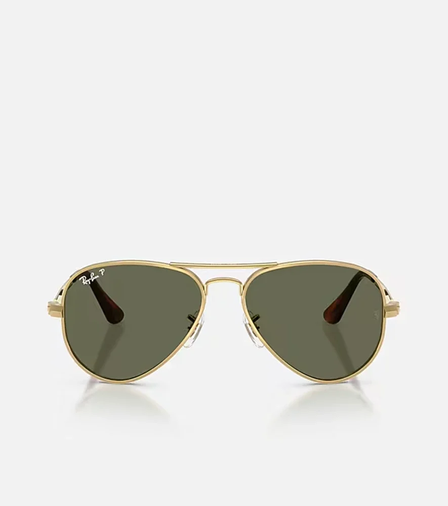 Kính RayBan RB3925 Aviator Max Green Polarized