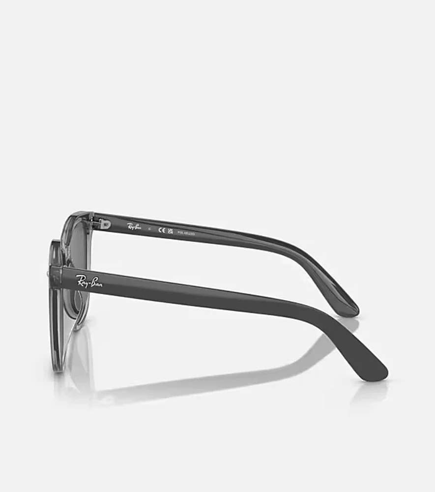 Kính RayBan RB4392D Grey